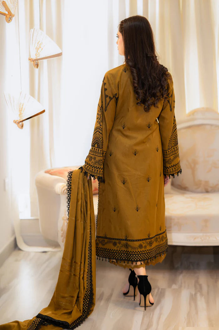 WINTER DHANAK 3PC`25 LF#DP-209 B